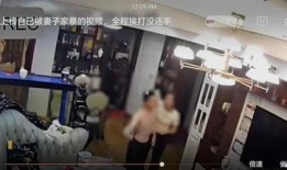 家暴妻子爆料视频播放,真相揭露，社会关注